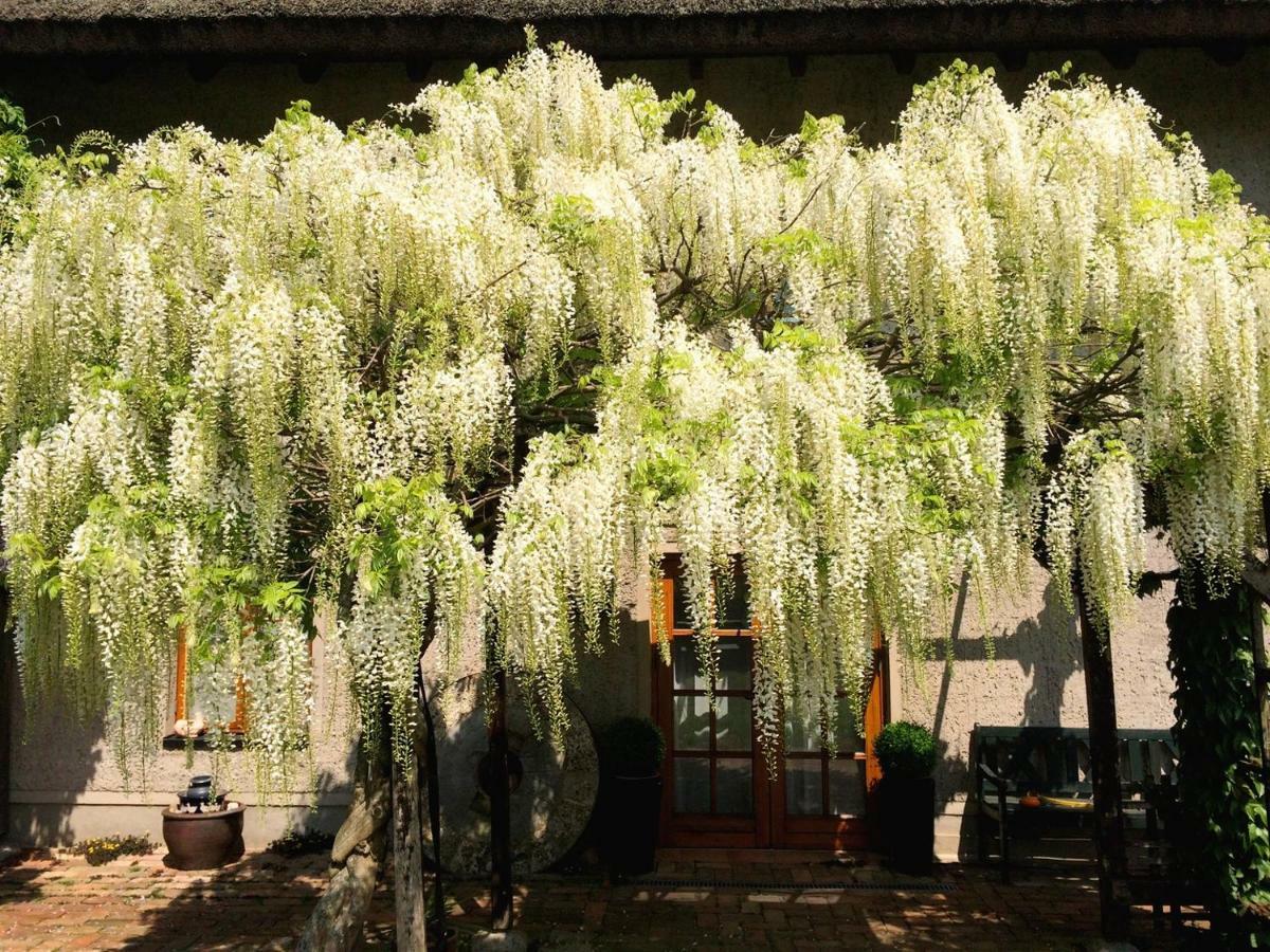 Die Muehle Appartements Samtens Luaran gambar